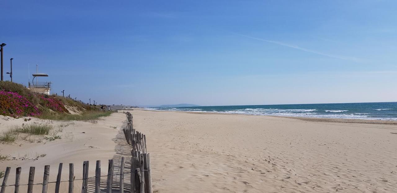 Studio Naturiste "Tropiques" Heliopolis Fg Agde Εξωτερικό φωτογραφία